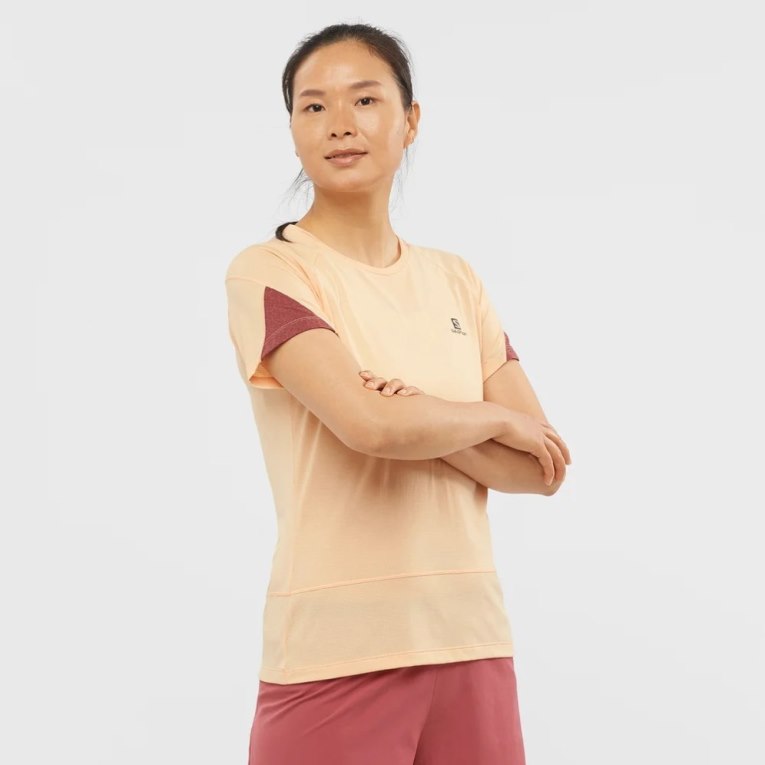 Apricot Salomon Cross Run Short Sleeve Women\'s T-Shirts | PH 26907K